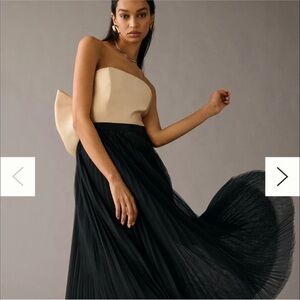 Hutch Roma tulle pleated skirt black size small anthropologie